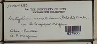 Image Associated With the Occurence